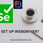 How to set up WebDriver